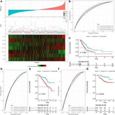 Establishment of lung adenocarcinoma classification and risk model based on necroptosis-related genes